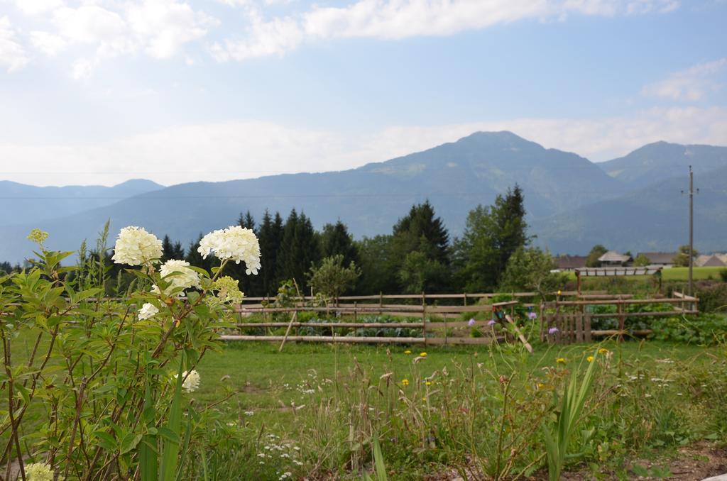 Naturgut Gailtal Sankt Stefan an der Gail Exterior foto