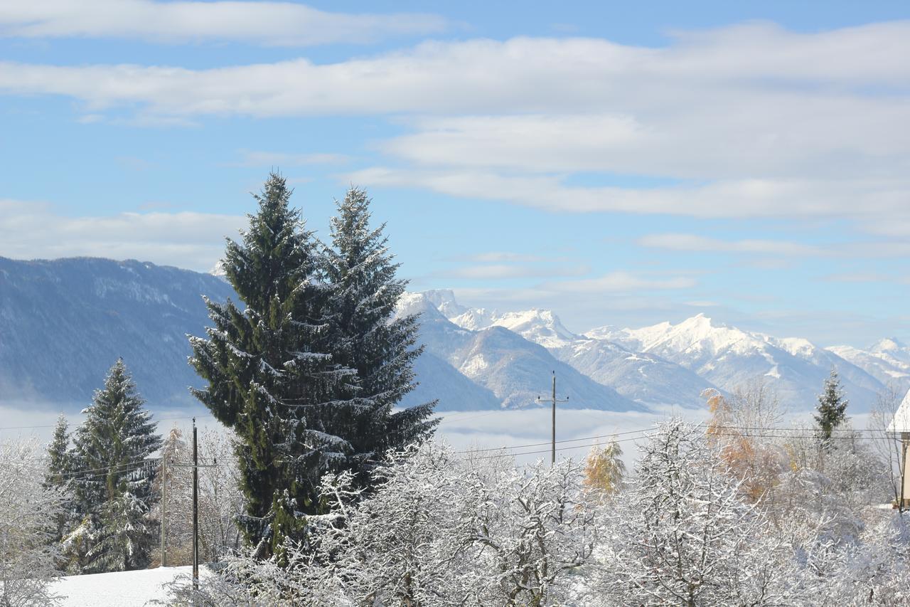 Naturgut Gailtal Sankt Stefan an der Gail Exterior foto