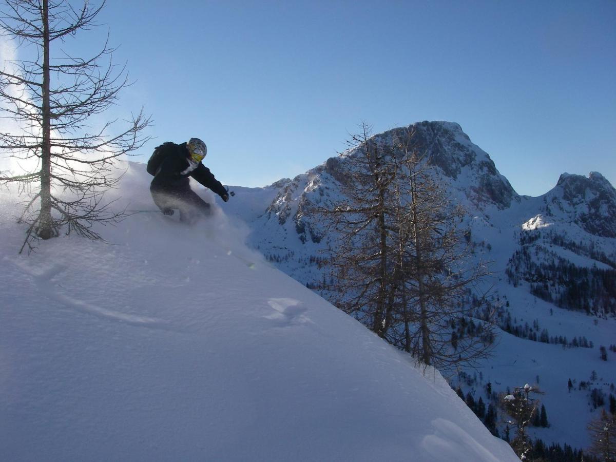 Naturgut Gailtal Sankt Stefan an der Gail Exterior foto